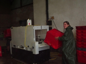 Champagne Marc BIJOTAT - Vendanges 2009